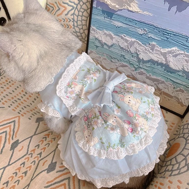 Pet Cute Apron Dress Lace Flor - Lace Teddy Lingerie 评论和价格
